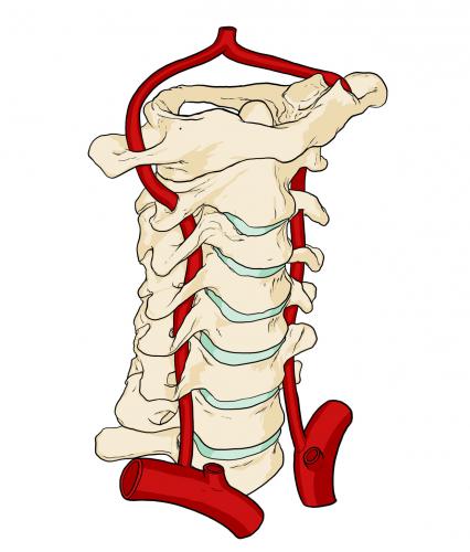 3.65.-Imagen-65