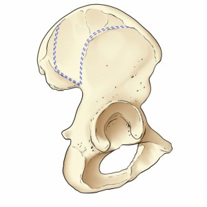 Figura-2.8