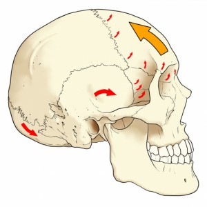 Figura-A1.-40